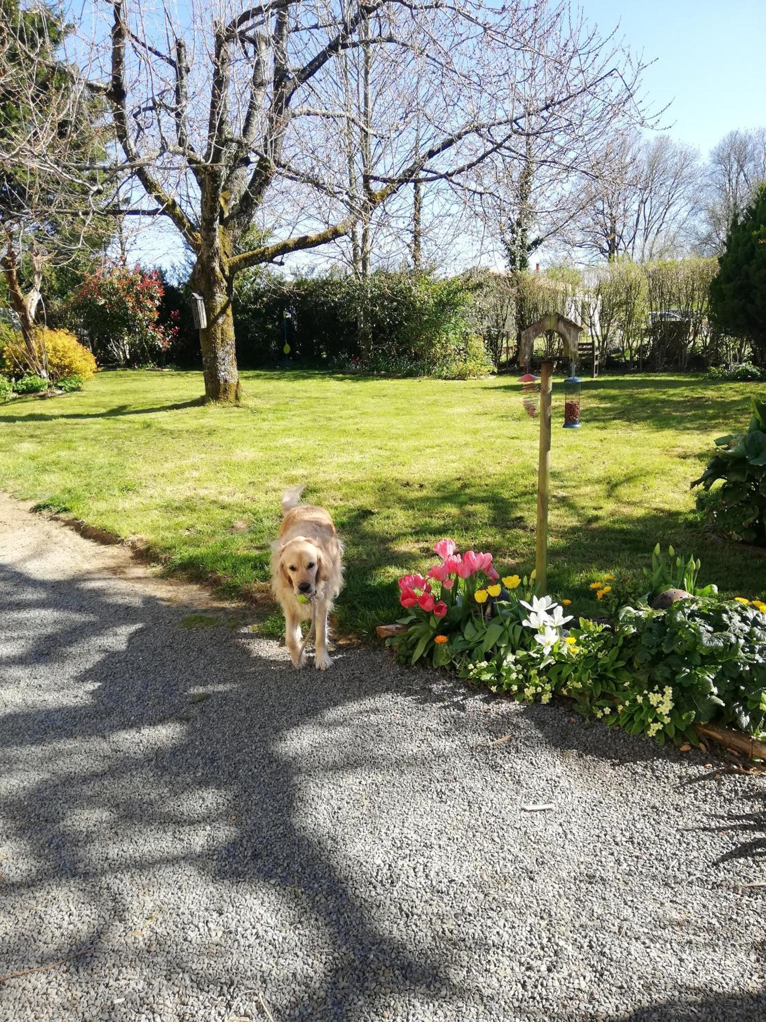 Papillons B&B - Beauty, Comfort And Peace 25 Mins From Puy Du Fou Montournais Exterior foto